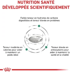 Royal Canin Veterinary Diabetic - croquettes chat
