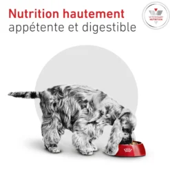 ROYAL CANIN Veterinary Diets Glycobalance pour chien