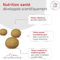 ROYAL CANIN Veterinary Diets Glycobalance pour chien