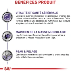 Royal Canin Veterinary Dog Mature Consult - pâtée chien