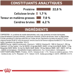 Royal Canin Veterinary Gastrointestinal Low Fat - croquettes chien