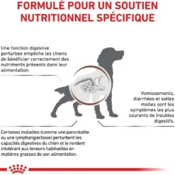 Royal Canin Veterinary Gastrointestinal Low Fat - croquettes chien