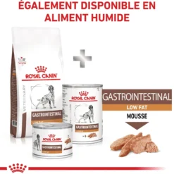 Royal Canin Veterinary Gastrointestinal Low Fat - croquettes chien