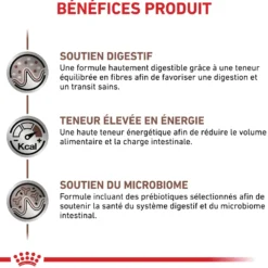 Royal Canin Veterinary Gastrointestinal - croquettes chat