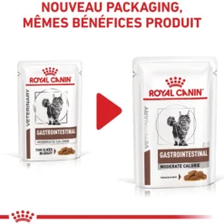 Royal Canin Veterinary Gastrointestinal Moderate Calorie - croquettes chat