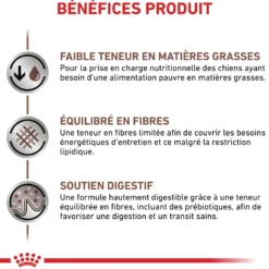 Royal Canin Veterinary Gastrointestinal Low Fat Small Dog – croquettes chien