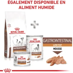 Royal Canin Veterinary Gastrointestinal Low Fat Small Dog – croquettes chien