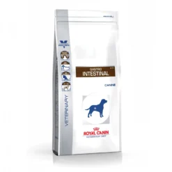 Royal Canin Veterinary Gastrointestinal - aliment chien