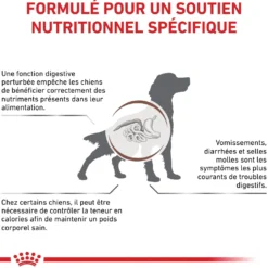 Royal Canin Veterinary Gastro Intestinal Moderate Calorie - croquettes chien
