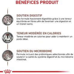 Royal Canin Veterinary Gastro Intestinal Moderate Calorie - croquettes chien