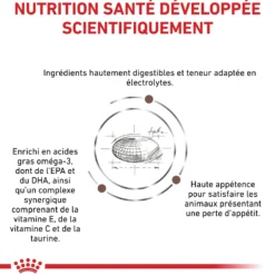 Royal Canin Veterinary Gastro Intestinal Moderate Calorie - croquettes chien