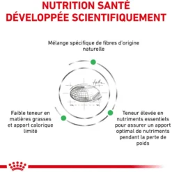 Royal Canin Veterinary Health Nutrition Satiety Weight Mgt - croquettes chat
