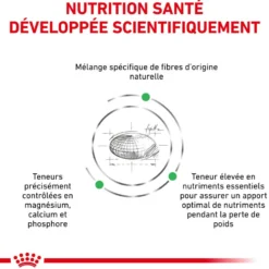 Royal Canin Veterinary Health Nutrition Chien Small Satiety