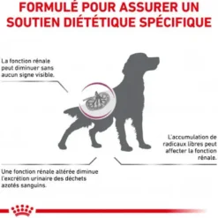 Royal Canin Veterinary Health Nutrition Chien Early Renal