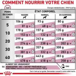 Royal Canin Veterinary Health Nutrition Chien Early Renal