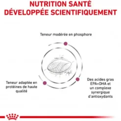 Royal Canin Veterinary Health Nutrition Chien Early Renal