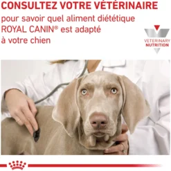 Royal Canin Veterinary Health Nutrition Diabetic Special