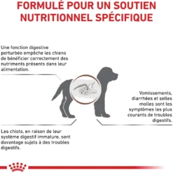 Royal Canin Veterinary Health Nutrition Puppy Gastrointestinal - croquettes chiot