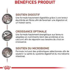 Royal Canin Veterinary Health Nutrition Puppy Gastrointestinal - croquettes chiot