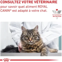 Royal Canin Veterinary Hepatic - Pour chat