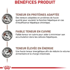 Royal Canin Veterinary Hepatic - Pour chat