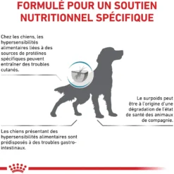 Royal Canin Veterinary Hypoallergenic Moderate Calorie - croquettes chien
