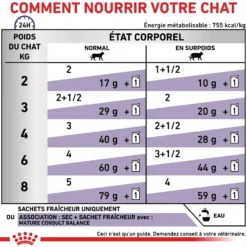 Royal Canin Veterinary Mature Consult Balance - pâtée chat