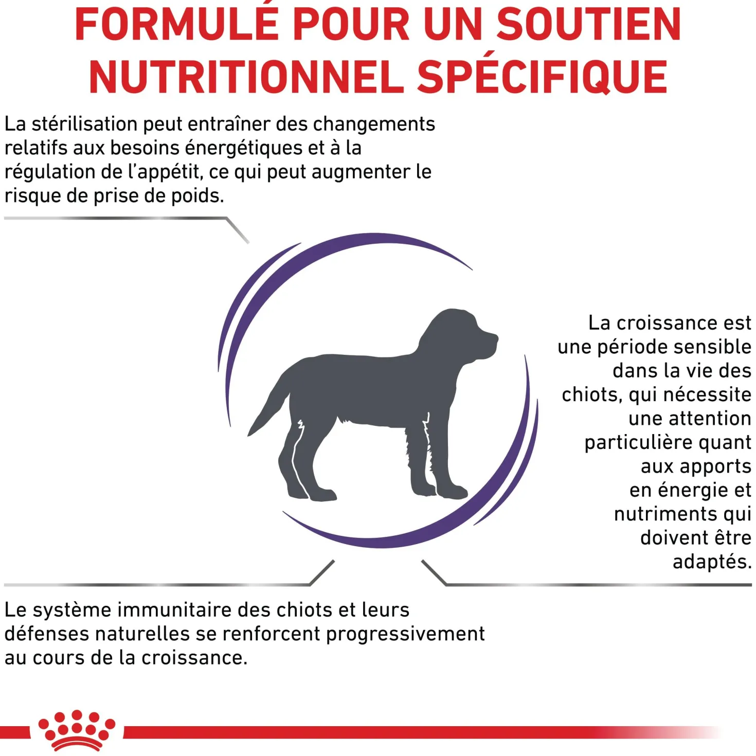 Royal Canin Veterinary Neutered Junior Dog - Croquettes pour chiot