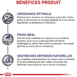 Royal Canin Veterinary Neutered Junior Dog - Croquettes pour chiot