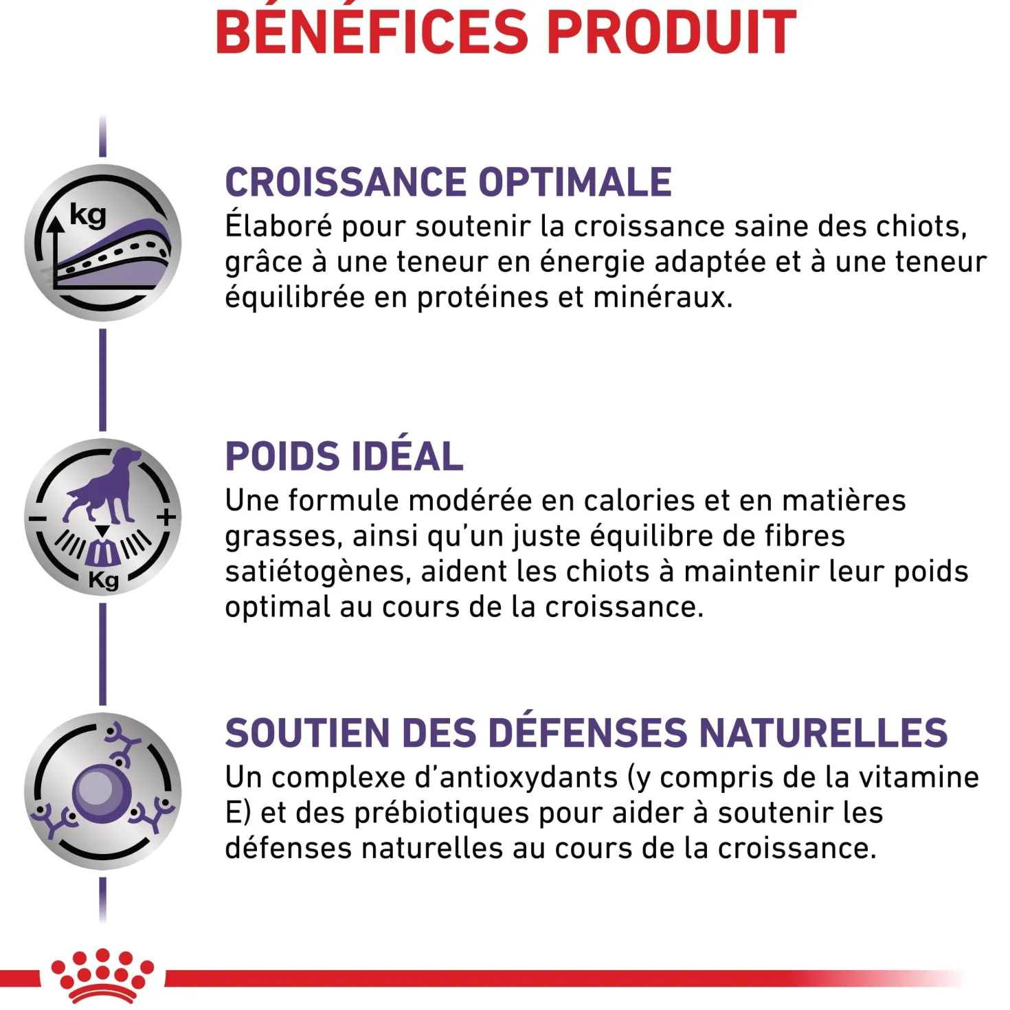 Royal Canin Veterinary Neutered Junior Dog - Croquettes pour chiot