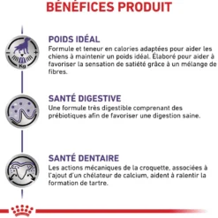 Royal Canin Veterinary Neutered Adult Small Dog - croquettes chien
