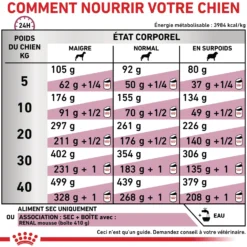 Royal Canin Veterinary Renal - aliment pour chien