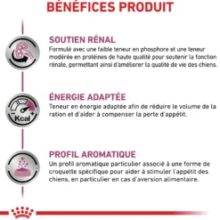 Royal Canin Veterinary Renal - aliment pour chien