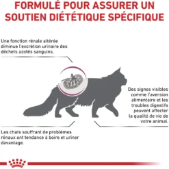 Royal Canin Veterinary Renal Select - croquettes chat