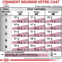 Royal Canin Veterinary Renal Select - croquettes chat