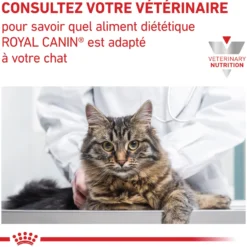 Royal Canin Veterinary Renal Special - croquettes chat