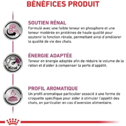 Royal Canin Veterinary Renal Special - croquettes chat