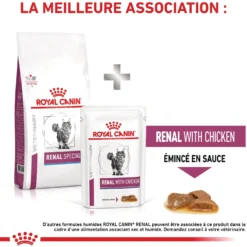 Royal Canin Veterinary Renal Special - croquettes chat