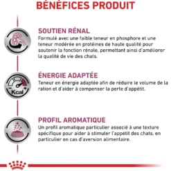 Royal Canin Veterinary Renal - aliment chat