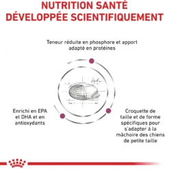 Royal Canin Veterinary Renal Small Dog - croquettes chien