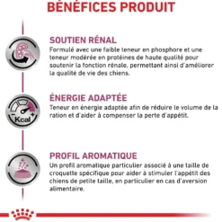 Royal Canin Veterinary Renal Small Dog - croquettes chien