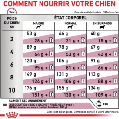 Royal Canin Veterinary Renal Small Dog - croquettes chien