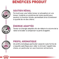 Royal Canin Veterinary Renal Special