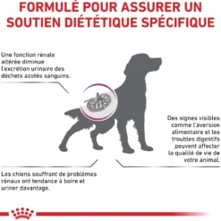 Royal Canin Veterinary Renal Select - croquettes chien