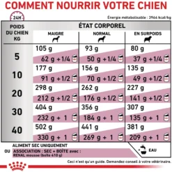 Royal Canin Veterinary Renal Select - croquettes chien