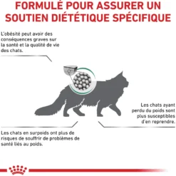 Royal Canin Veterinary Satiety Weight Management - aliment chat