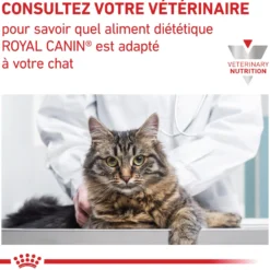 Royal Canin Veterinary Satiety Weight Management - aliment chat
