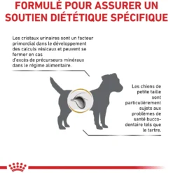 Royal Canin Veterinary Urinary S/O Small Dog - croquettes chien