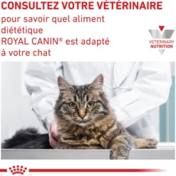 Royal Canin Veterinary Urinary S/O - aliment chat