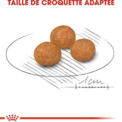 Royal Canin X-Small Adult
